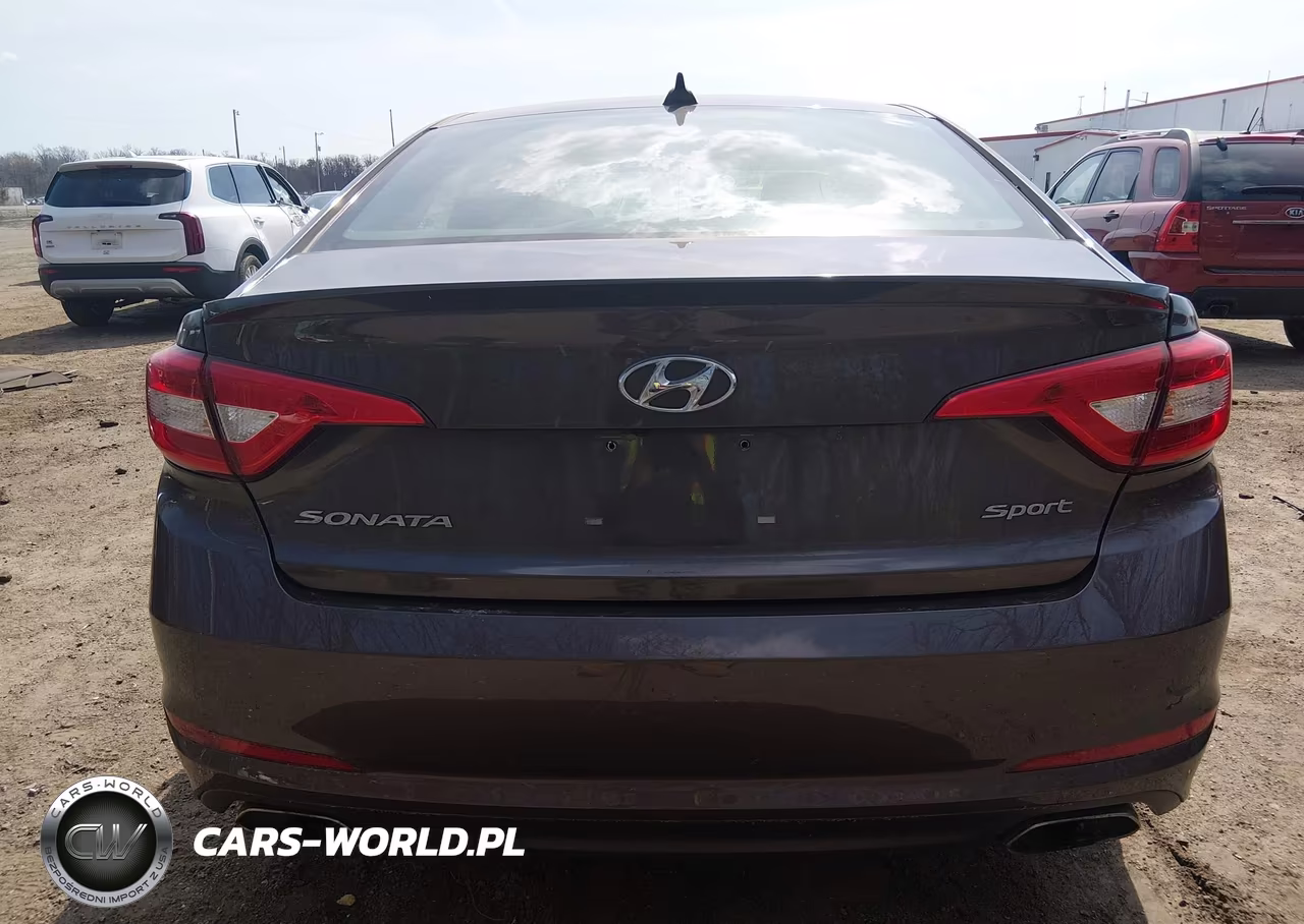 2016 Hyundai Sonata Sport VIN:5NPE34AF4GH429081 - 16