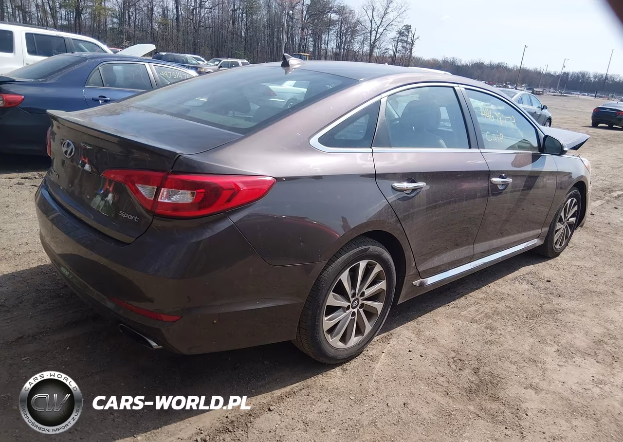 2016 Hyundai Sonata Sport VIN:5NPE34AF4GH429081 - 4