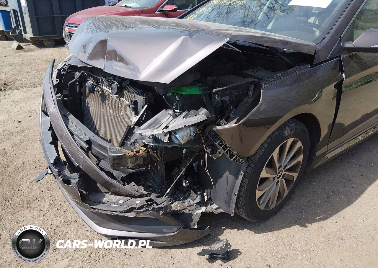 2016 Hyundai Sonata Sport VIN:5NPE34AF4GH429081 - 6