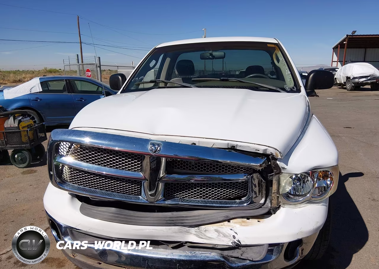 2002 Dodge Ram 1500 St VIN:1D7HA16N82J145122 - 12