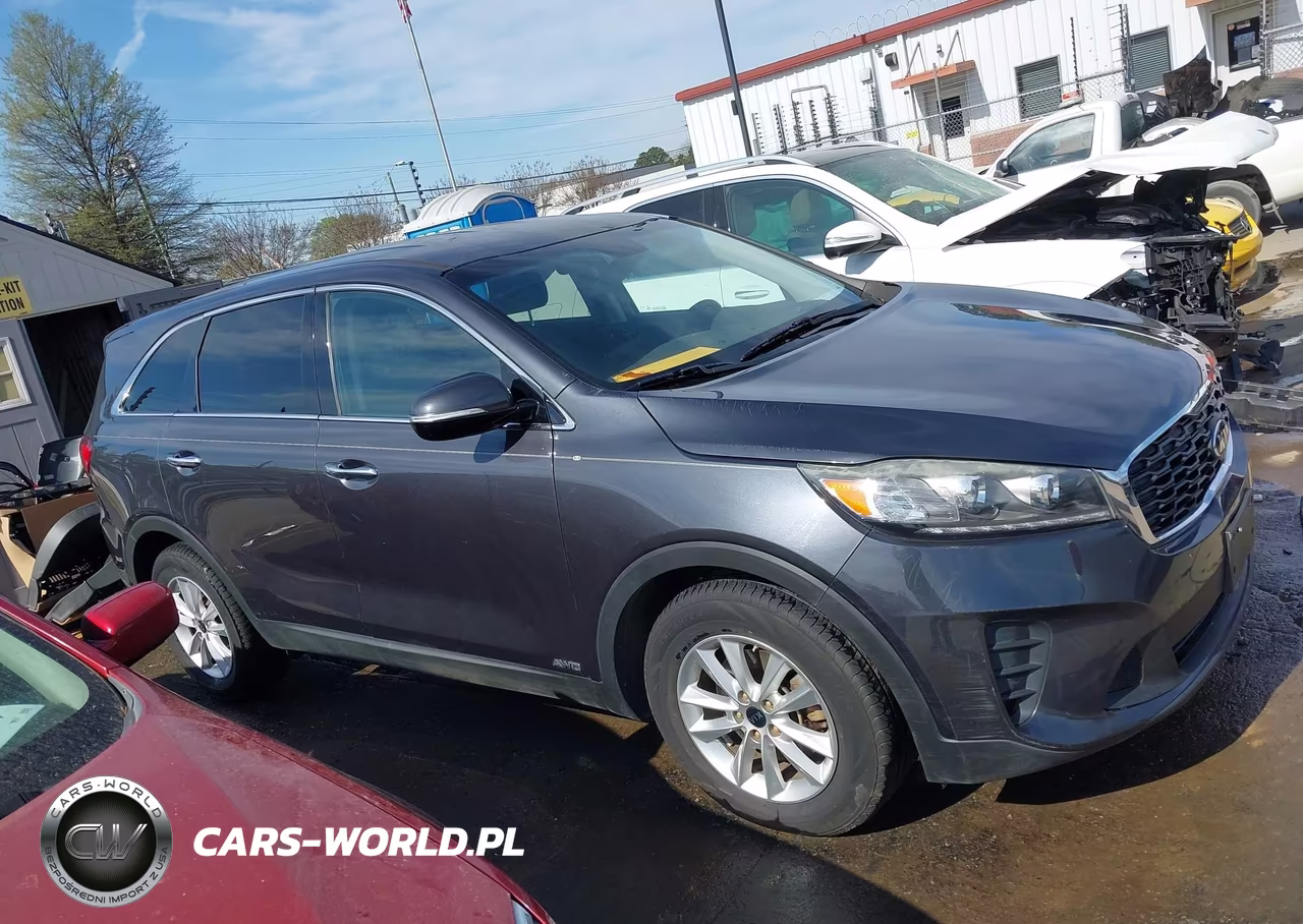 2019 Kia Sorento 3.3L Lx VIN:5XYPGDA55KG484269 - 13