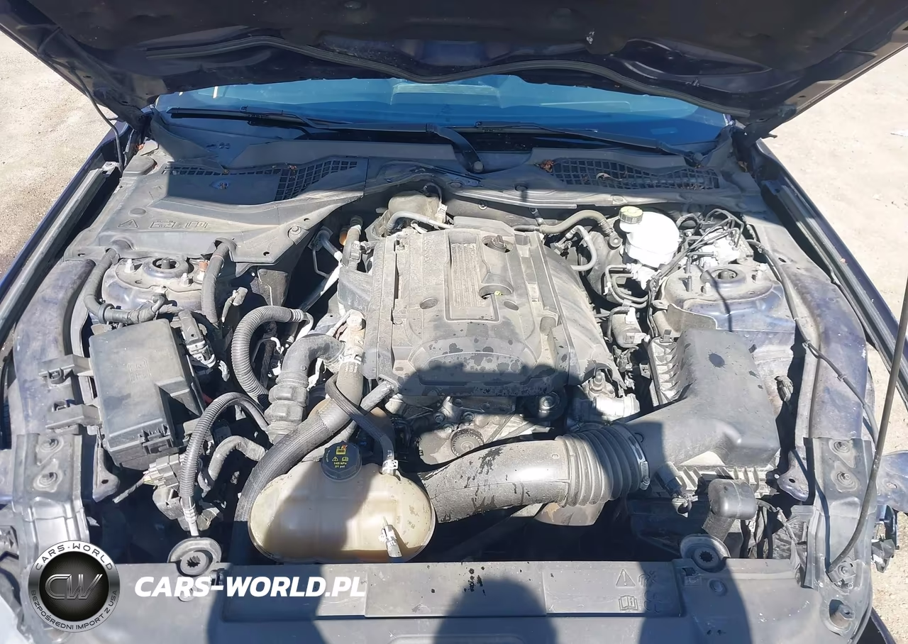 2020 Ford Mustang Ecoboost Fastback VIN:1FA6P8TH8L5122737 - 10
