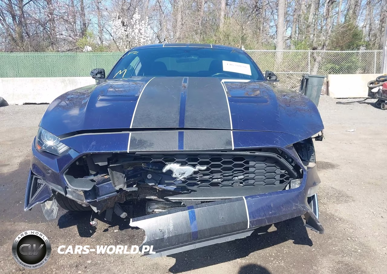 2020 Ford Mustang Ecoboost Fastback VIN:1FA6P8TH8L5122737 - 12