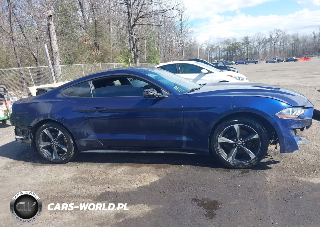 2020 Ford Mustang Ecoboost Fastback VIN:1FA6P8TH8L5122737 - 13