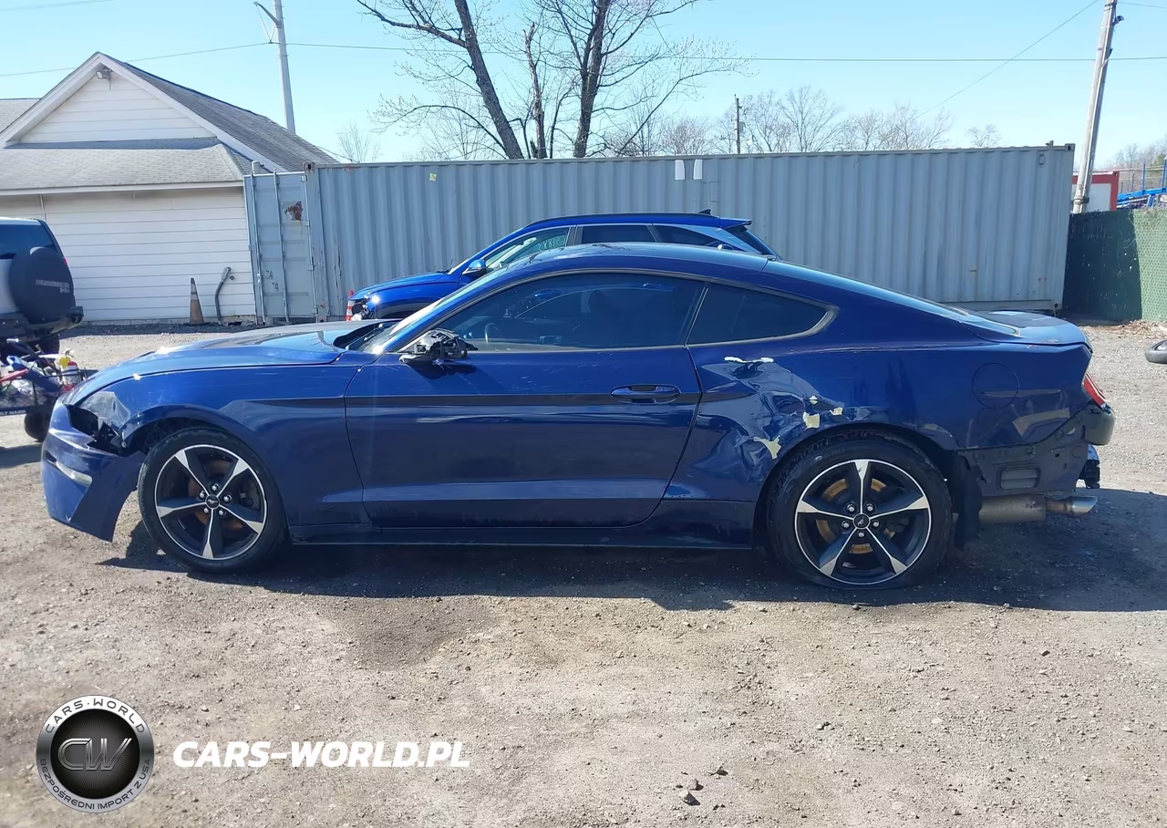 2020 Ford Mustang Ecoboost Fastback VIN:1FA6P8TH8L5122737 - 14