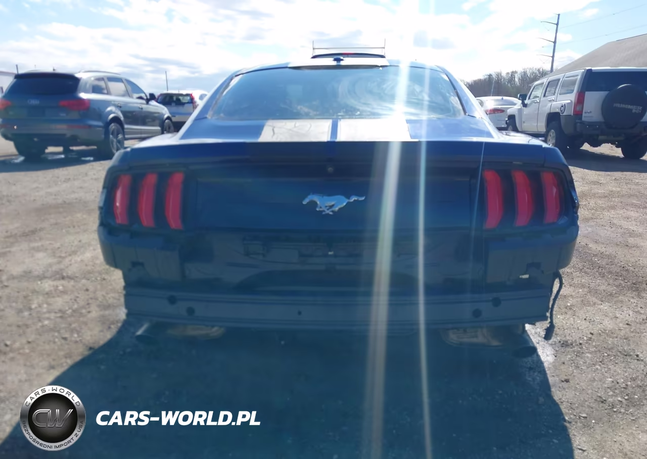 2020 Ford Mustang Ecoboost Fastback VIN:1FA6P8TH8L5122737 - 16