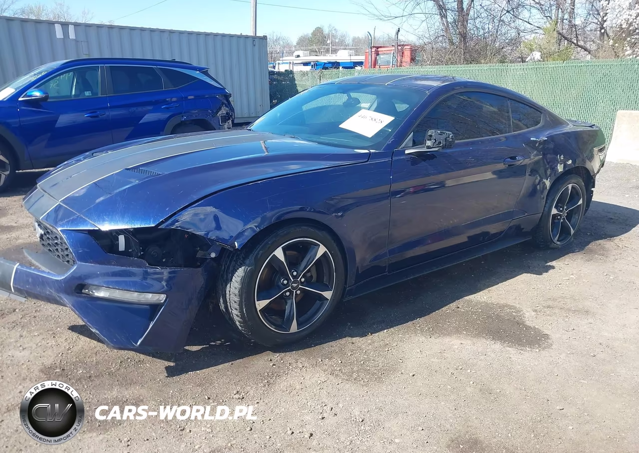 2020 Ford Mustang Ecoboost Fastback VIN:1FA6P8TH8L5122737 - 2