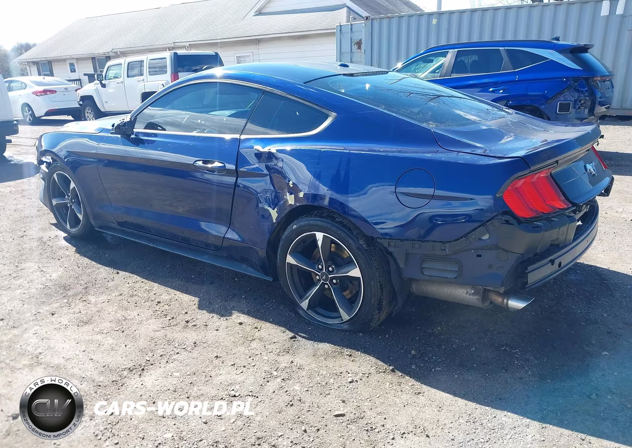 2020 Ford Mustang Ecoboost Fastback VIN:1FA6P8TH8L5122737 - 3