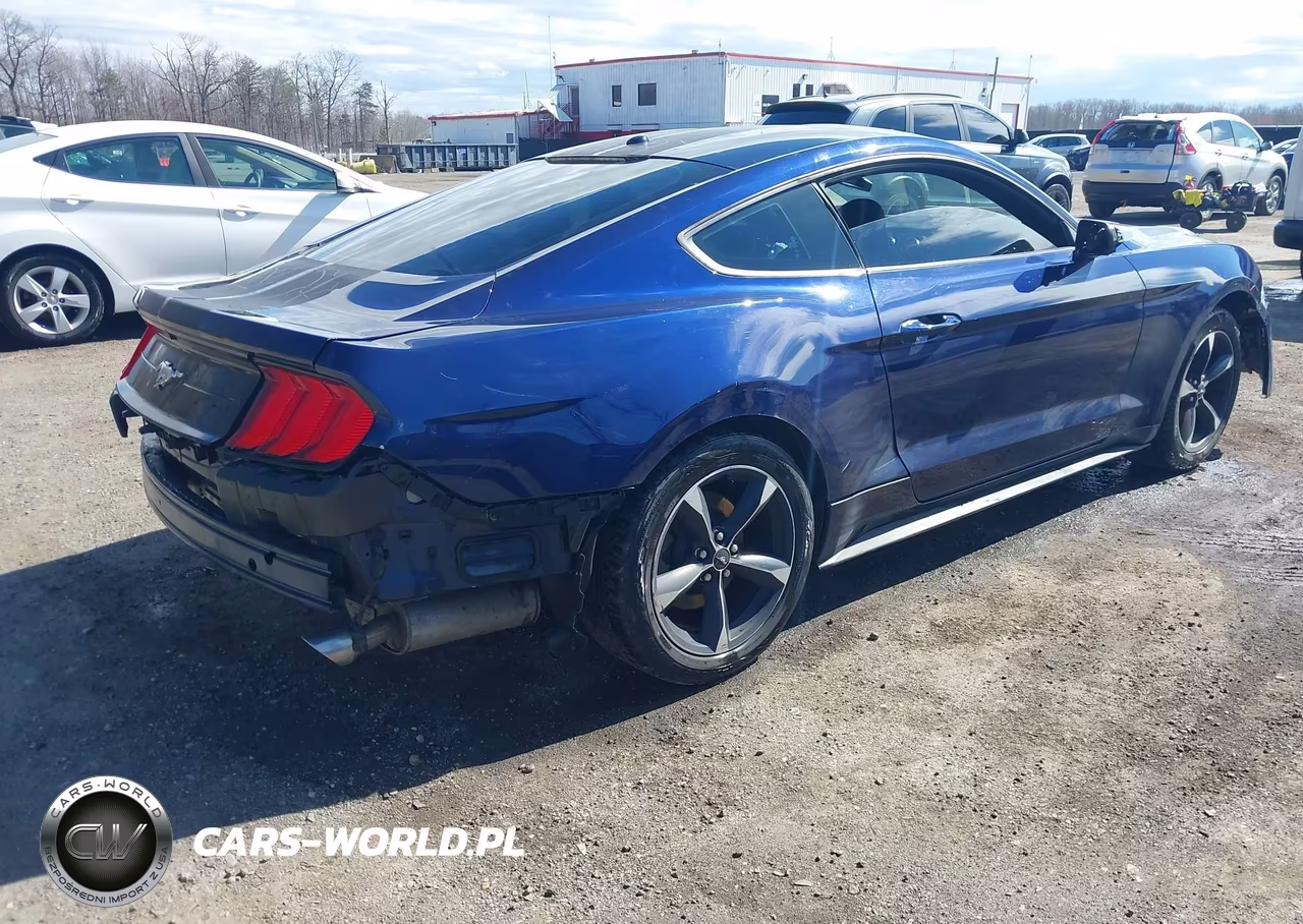 2020 Ford Mustang Ecoboost Fastback VIN:1FA6P8TH8L5122737 - 4