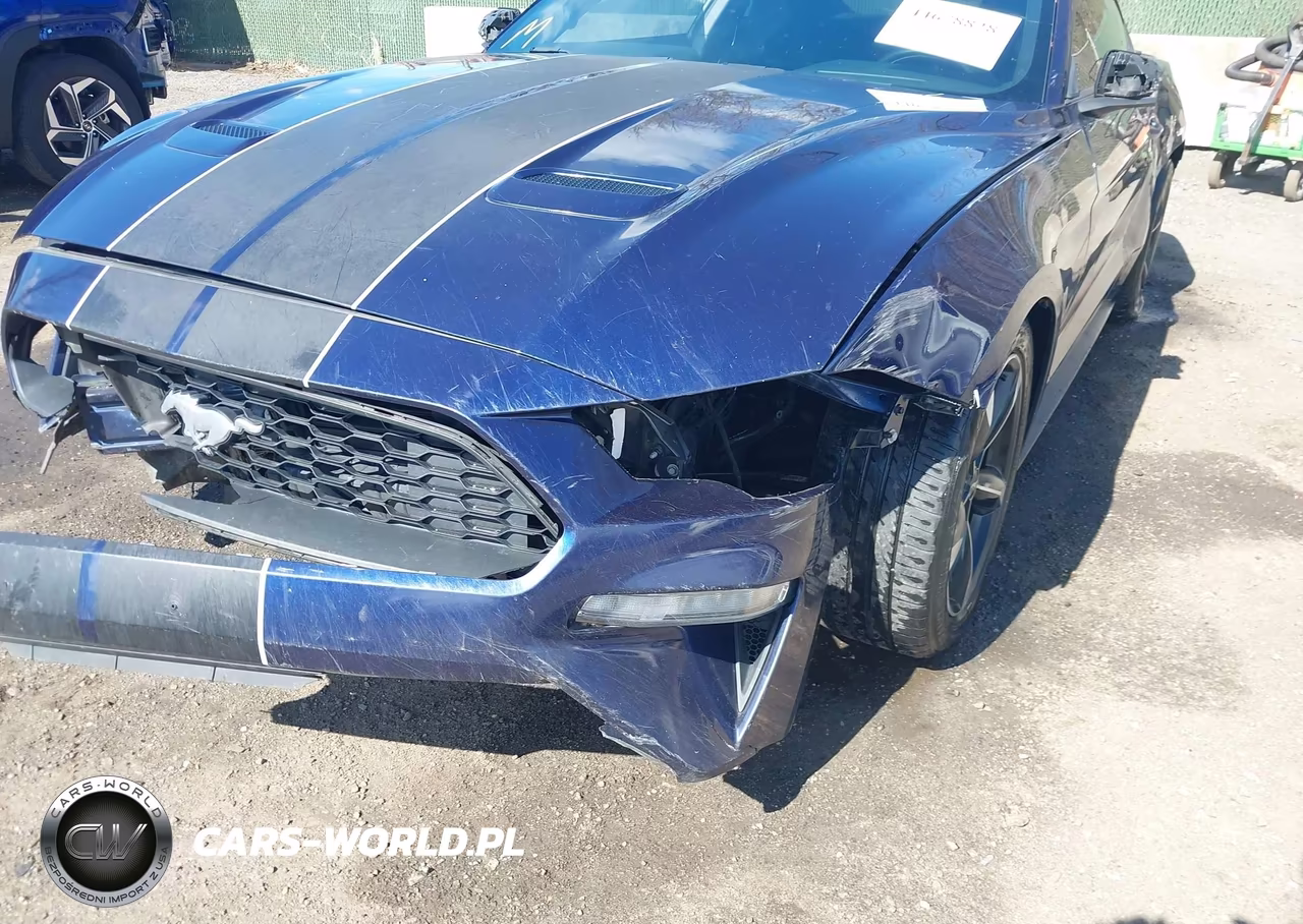 2020 Ford Mustang Ecoboost Fastback VIN:1FA6P8TH8L5122737 - 6
