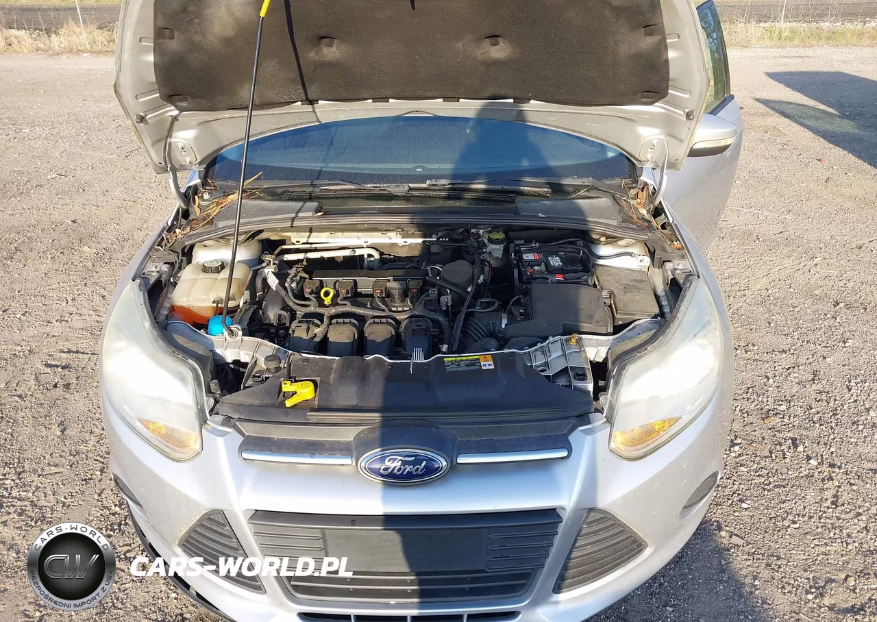 2013 Ford Focus Se VIN:1FADP3F29DL186638 - 10