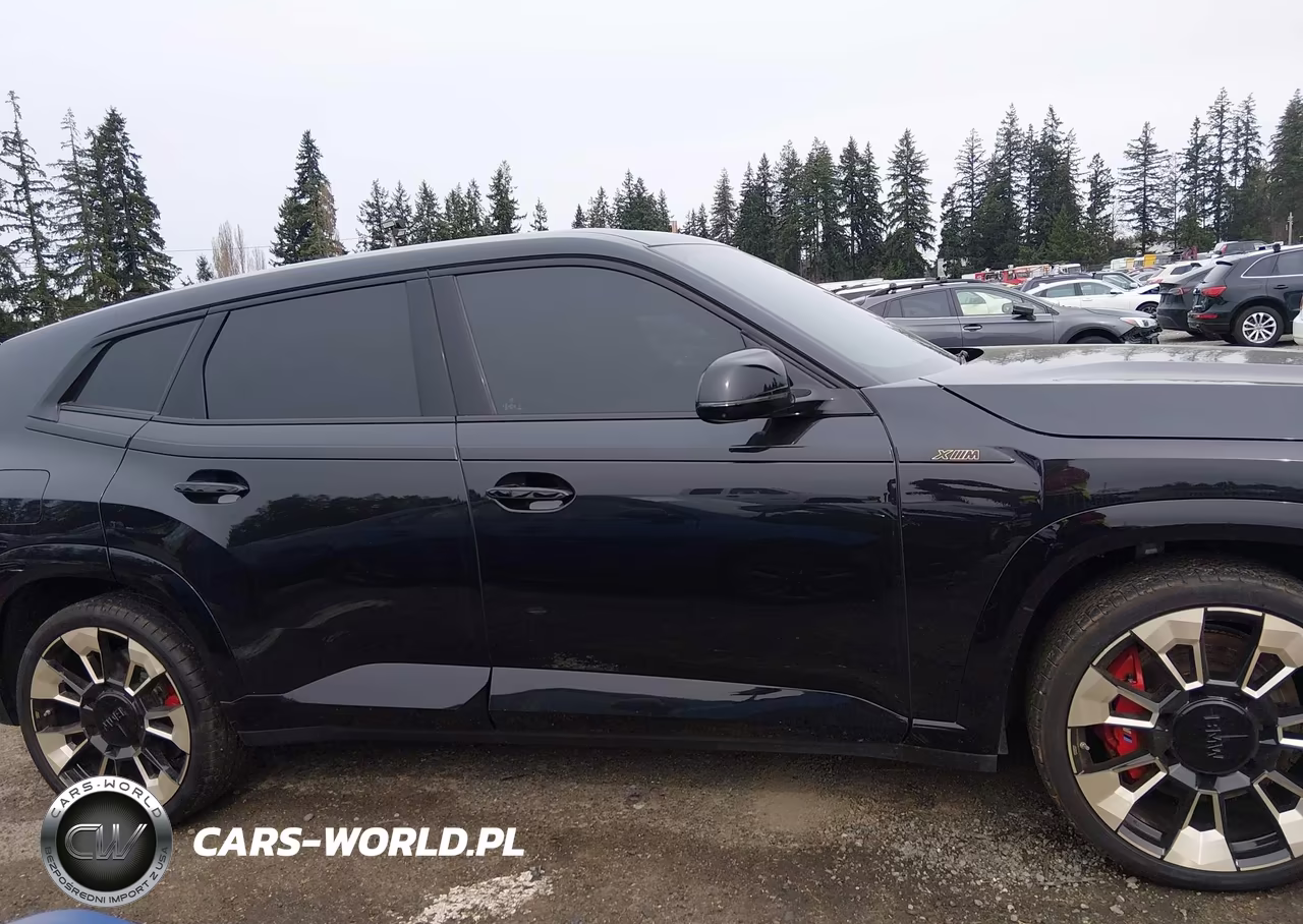 2024 BMW Xm VIN:5YM23CS02R9W46364 - 13