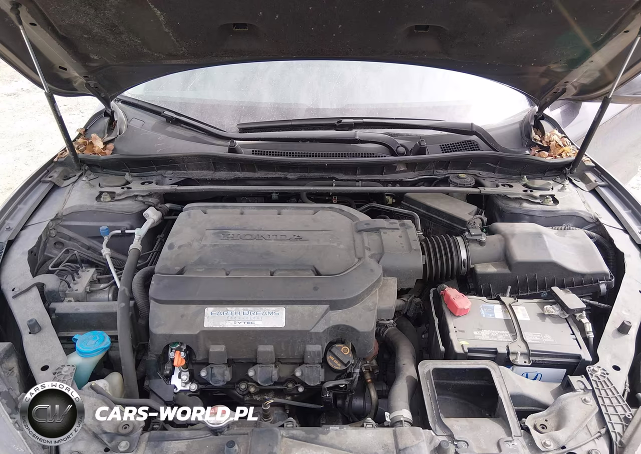 2014 Honda Accord Ex-L V-6 VIN:1HGCR3F86EA034738 - 10