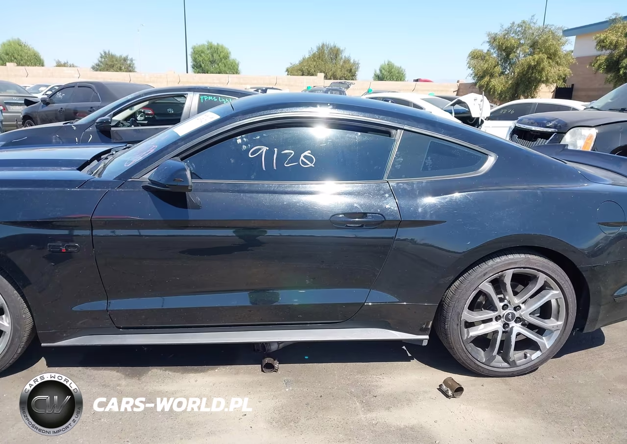 2017 Ford Mustang Gt Premium VIN:1FA6P8CF3H5344625 - 15