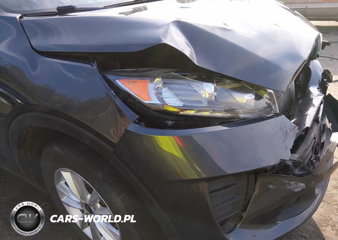 2019 Kia Sorento 2.4L Lx VIN:5XYPG4A30KG545137 - 18