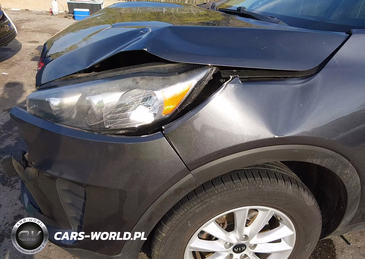 2019 Kia Sorento 2.4L Lx VIN:5XYPG4A30KG545137 - 19
