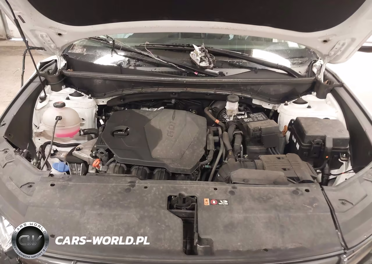 2024 Hyundai Tucson Sel VIN:5NMJFCDE4RH296373 - 10