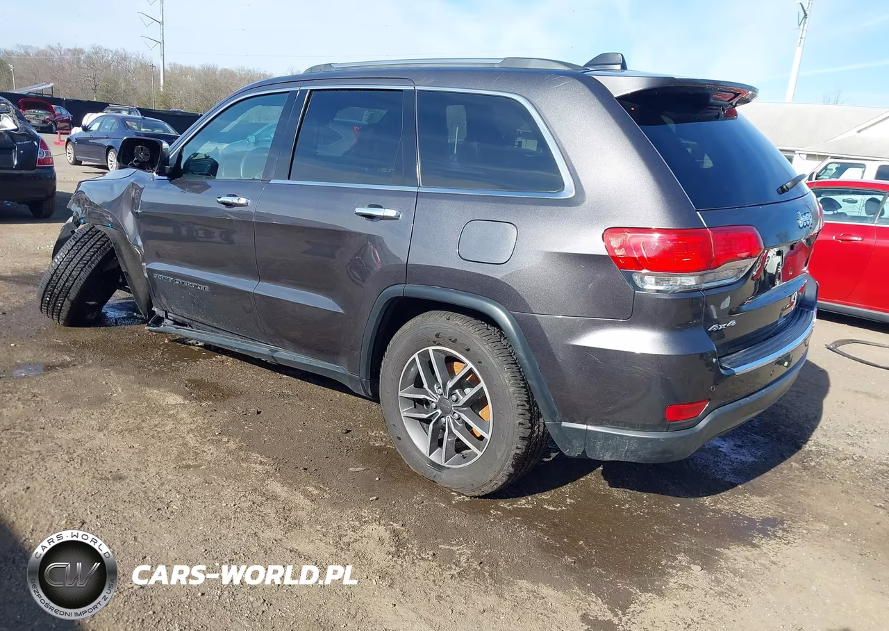 2019 Jeep Grand Cherokee Limited 4X4 VIN:1C4RJFBG1KC773028 - 3