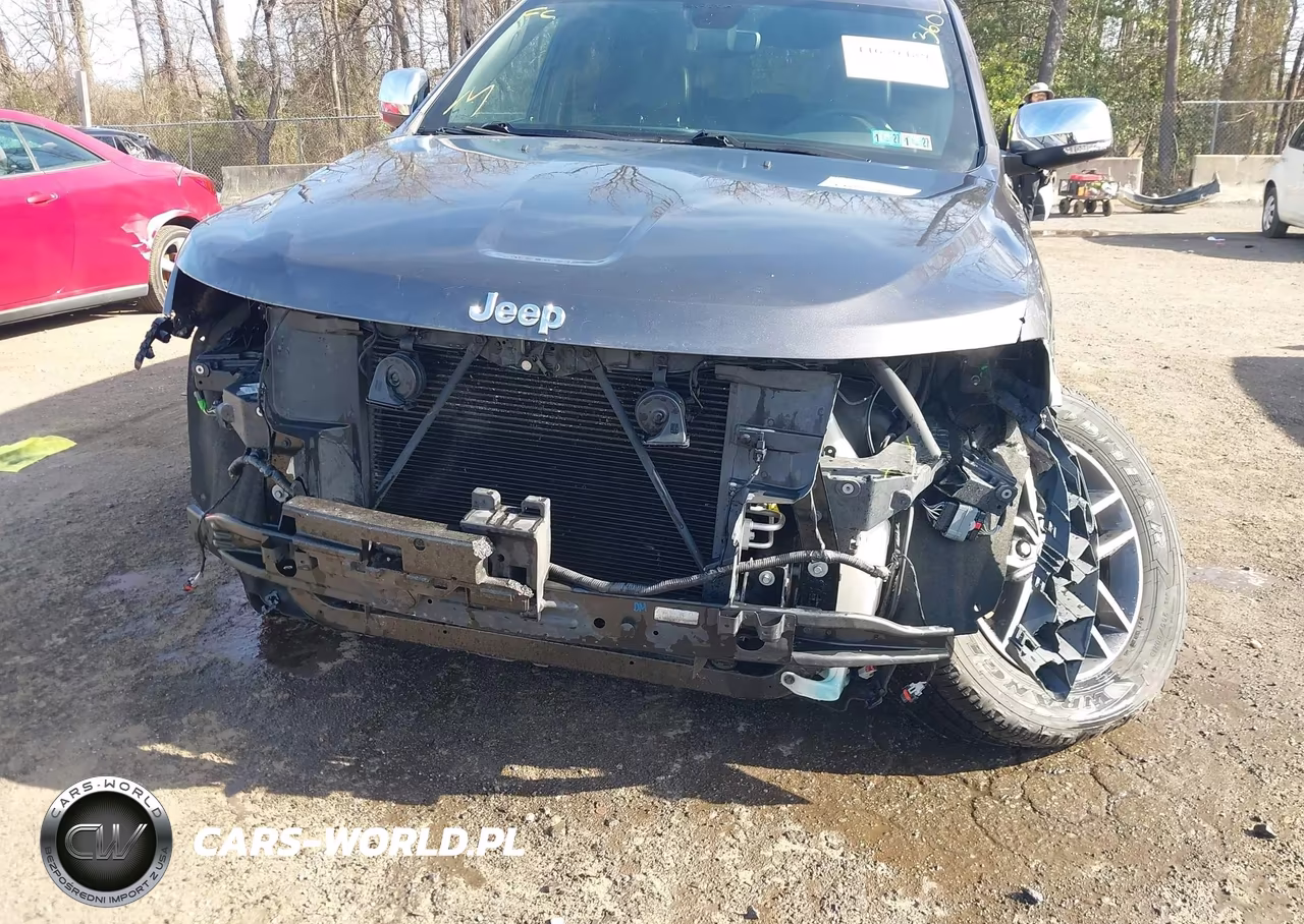 2019 Jeep Grand Cherokee Limited 4X4 VIN:1C4RJFBG1KC773028 - 6