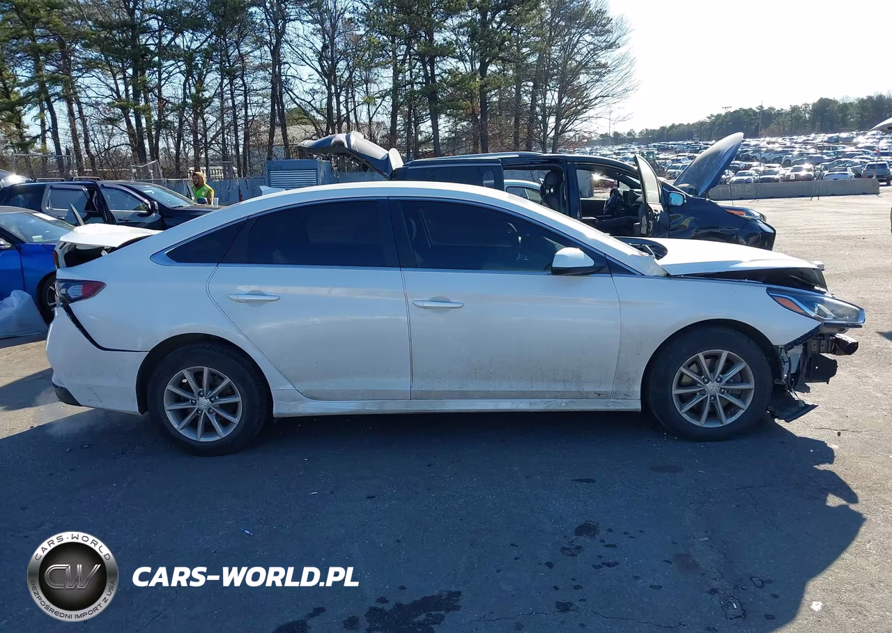 2019 Hyundai Sonata Se VIN:5NPE24AF0KH818327 - 14