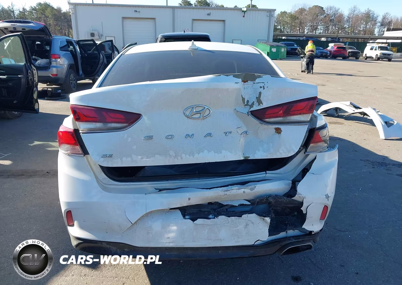 2019 Hyundai Sonata Se VIN:5NPE24AF0KH818327 - 17