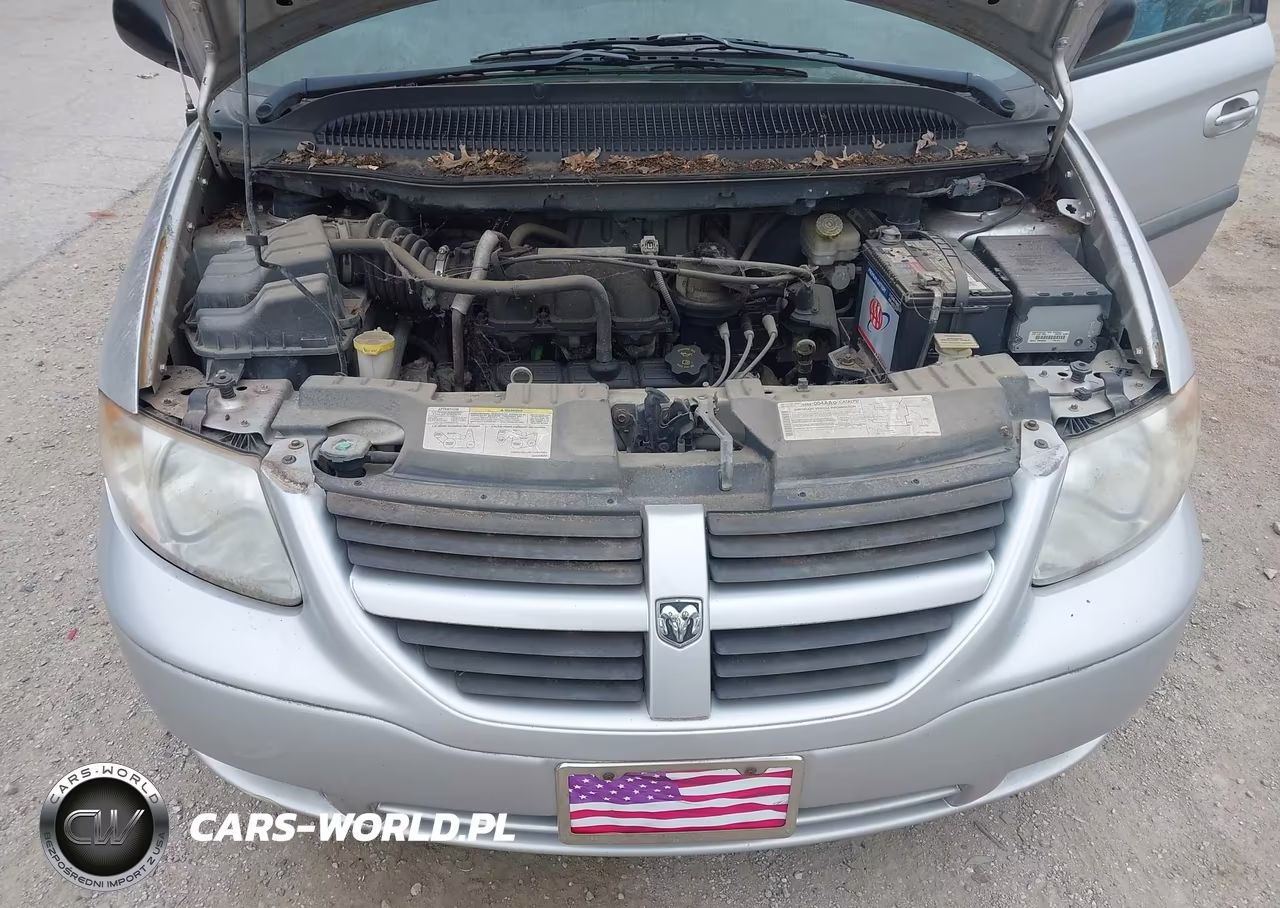 2005 Dodge Caravan Sxt VIN:1D4GP45RX5B124106 - 10