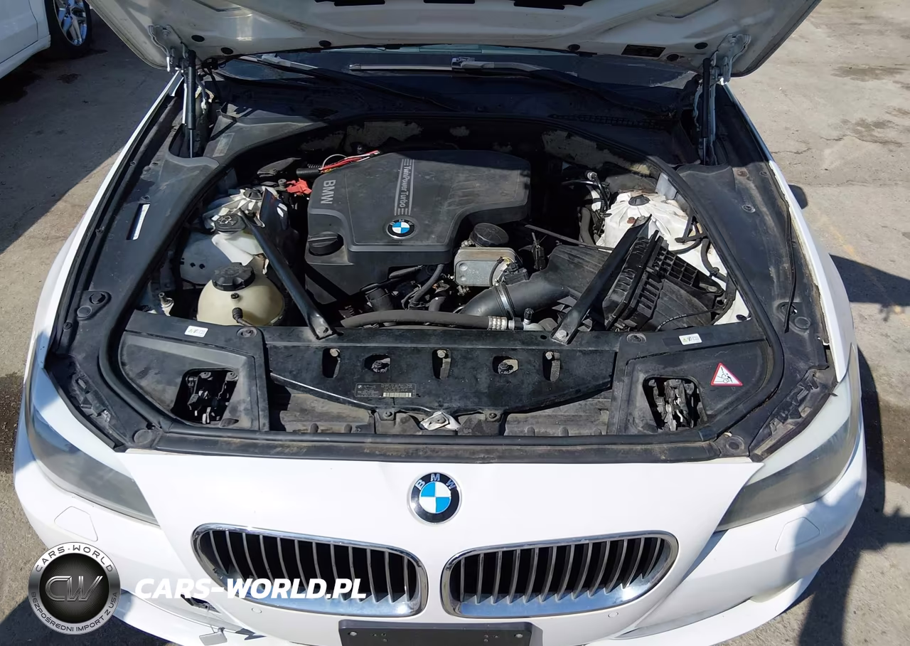 2013 BMW 528I xDrive VIN:WBAXH5C59DDW13001 - 10