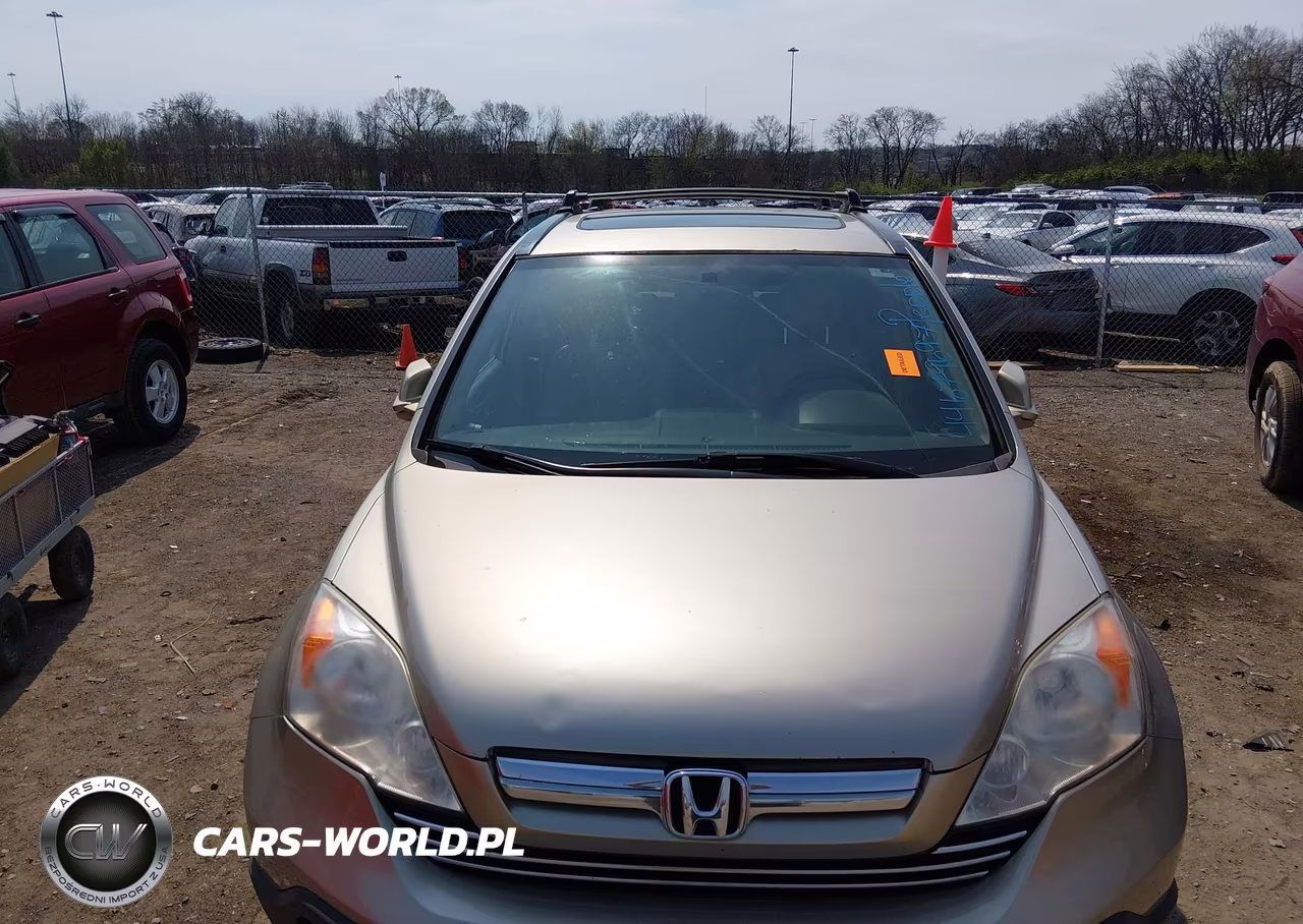 2007 Honda Cr-V Ex-L VIN:JHLRE48787C113143 - 14