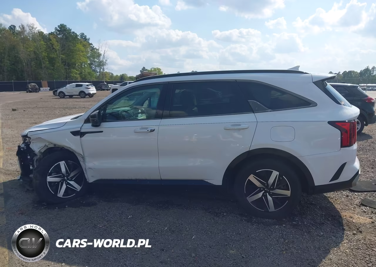 2021 Kia Sorento S VIN:5XYRL4LCXMG009980 - 14