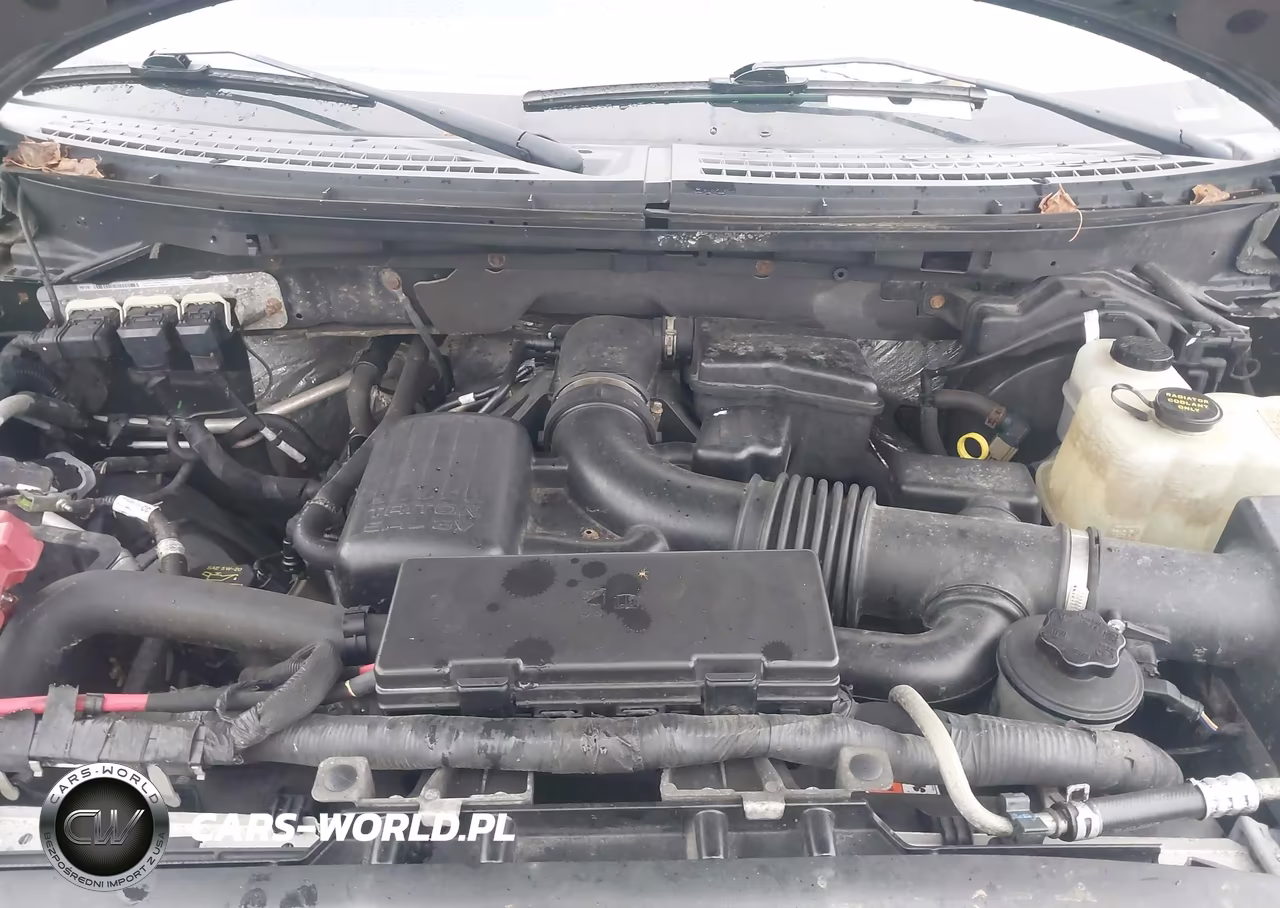 2010 Ford F-150 Fx4-Lariat-Xl-Xlt VIN:1FTFX1EV4AFD48527 - 10