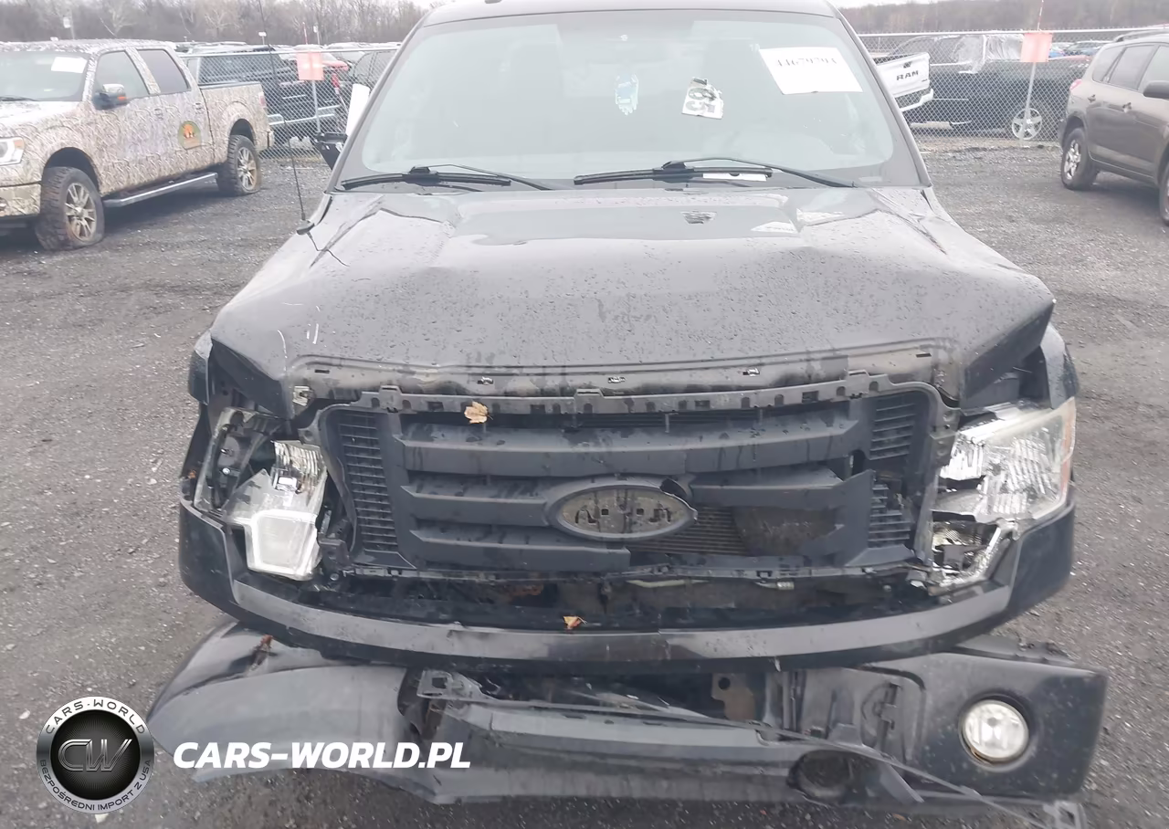 2010 Ford F-150 Fx4-Lariat-Xl-Xlt VIN:1FTFX1EV4AFD48527 - 12