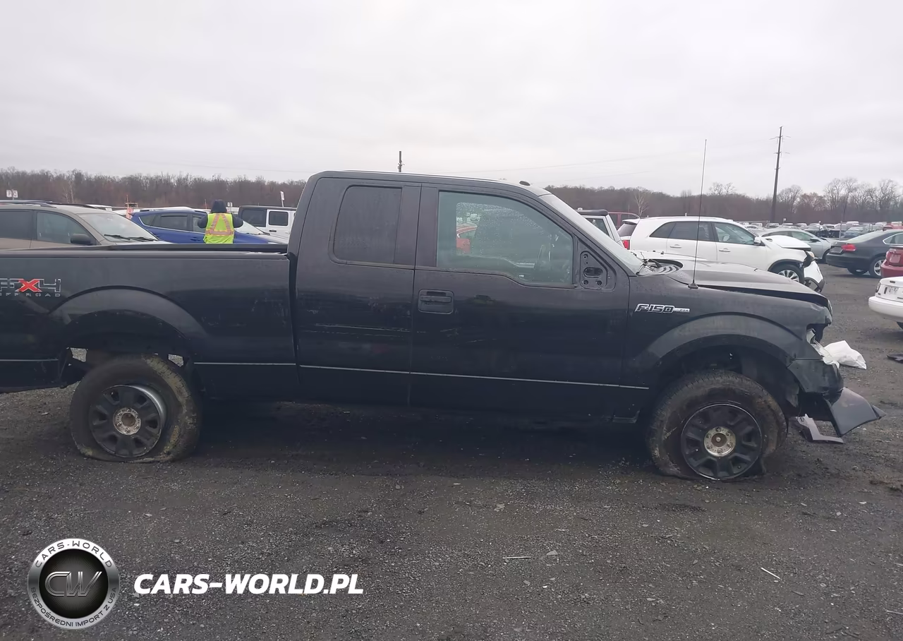2010 Ford F-150 Fx4-Lariat-Xl-Xlt VIN:1FTFX1EV4AFD48527 - 13