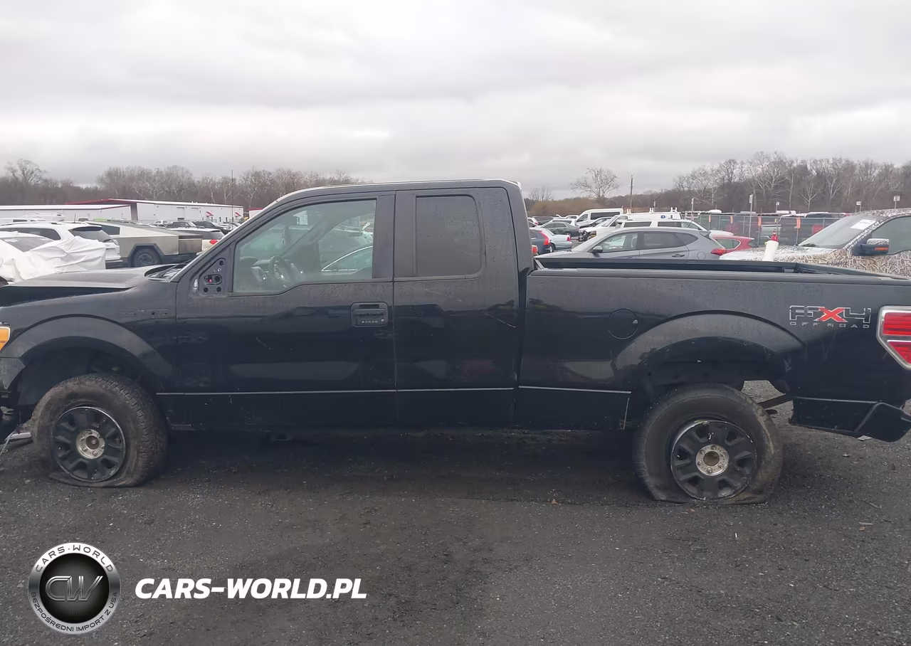 2010 Ford F-150 Fx4-Lariat-Xl-Xlt VIN:1FTFX1EV4AFD48527 - 14