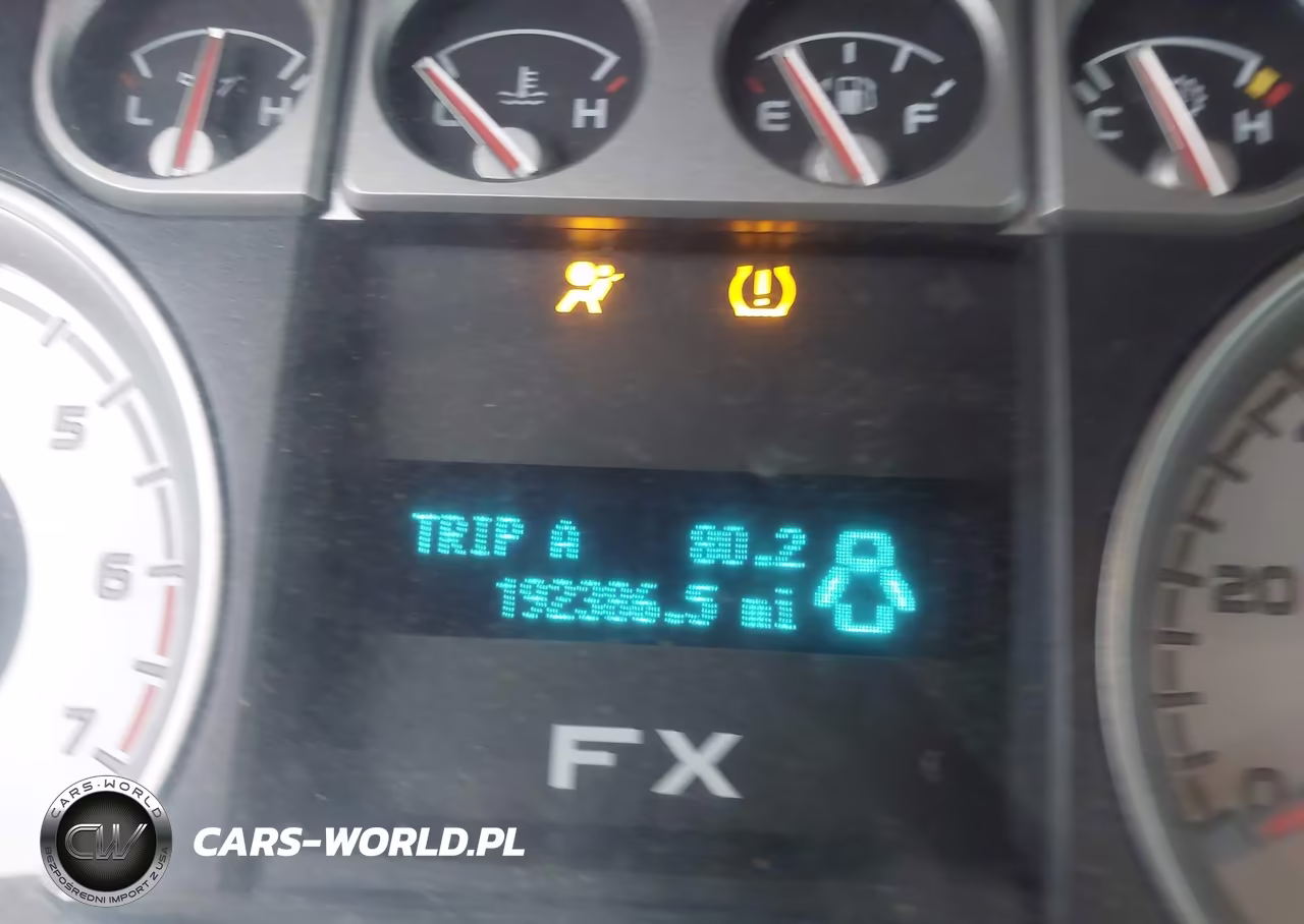 2010 Ford F-150 Fx4-Lariat-Xl-Xlt VIN:1FTFX1EV4AFD48527 - 15