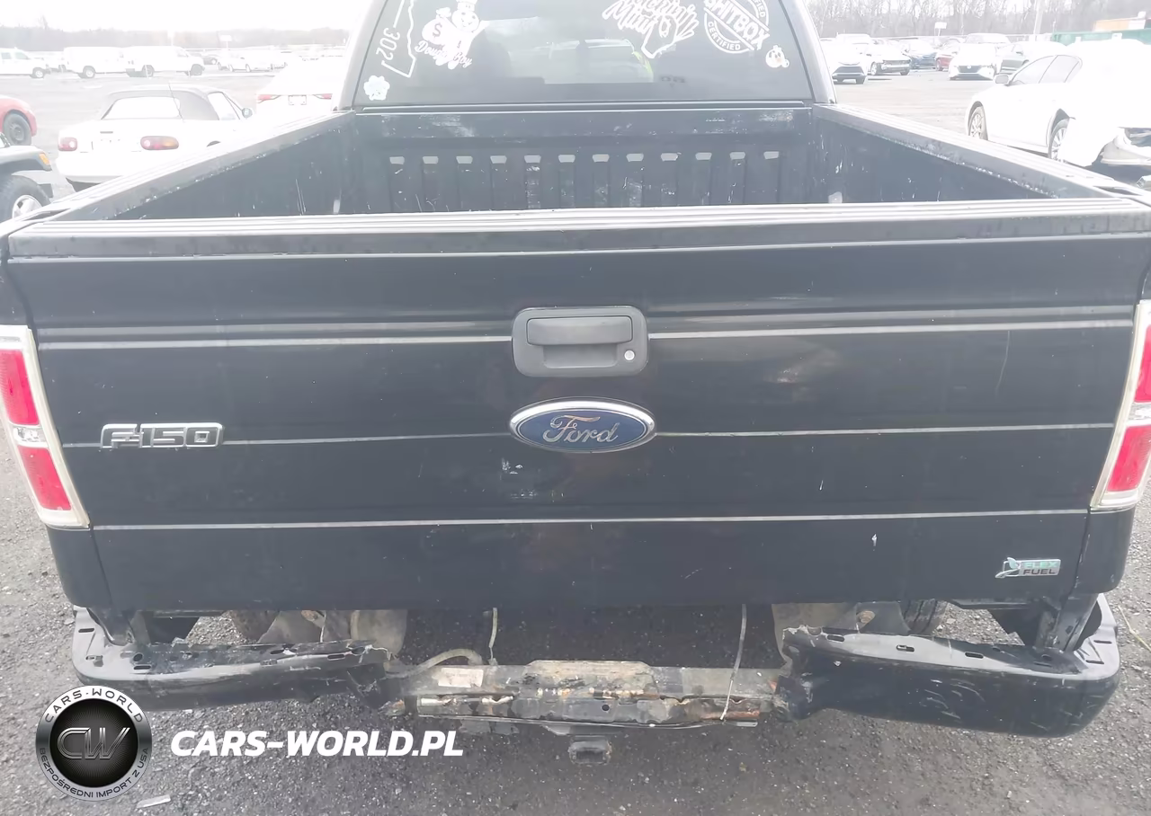 2010 Ford F-150 Fx4-Lariat-Xl-Xlt VIN:1FTFX1EV4AFD48527 - 16