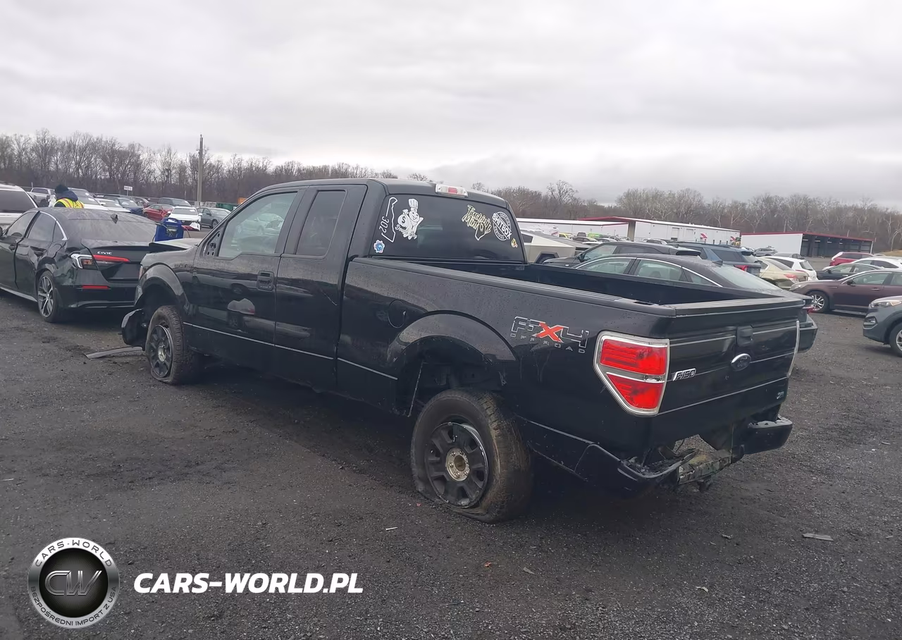 2010 Ford F-150 Fx4-Lariat-Xl-Xlt VIN:1FTFX1EV4AFD48527 - 3