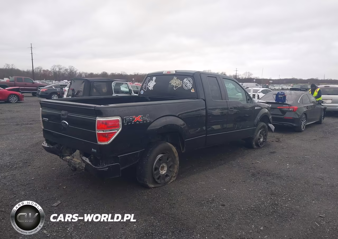 2010 Ford F-150 Fx4-Lariat-Xl-Xlt VIN:1FTFX1EV4AFD48527 - 4