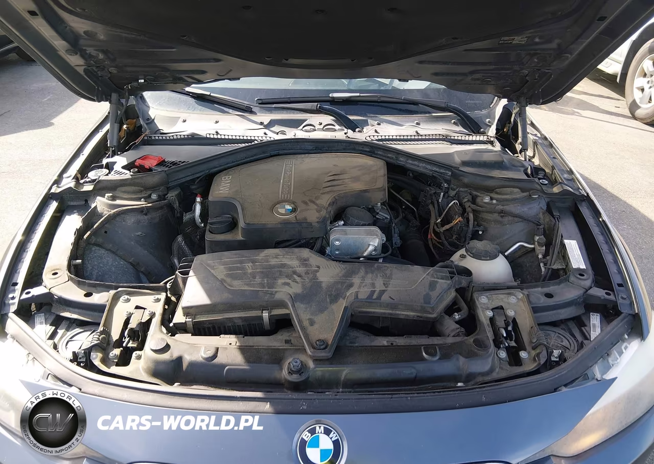 2014 BMW 320I VIN:WBA3B1C57EPV79424 - 10