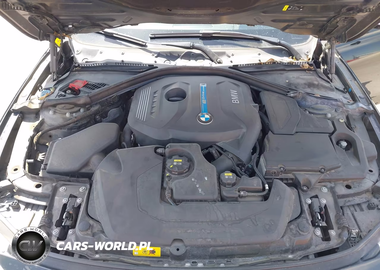 2017 BMW 330E Iperformance VIN:WBA8E1C52HK479990 - 10