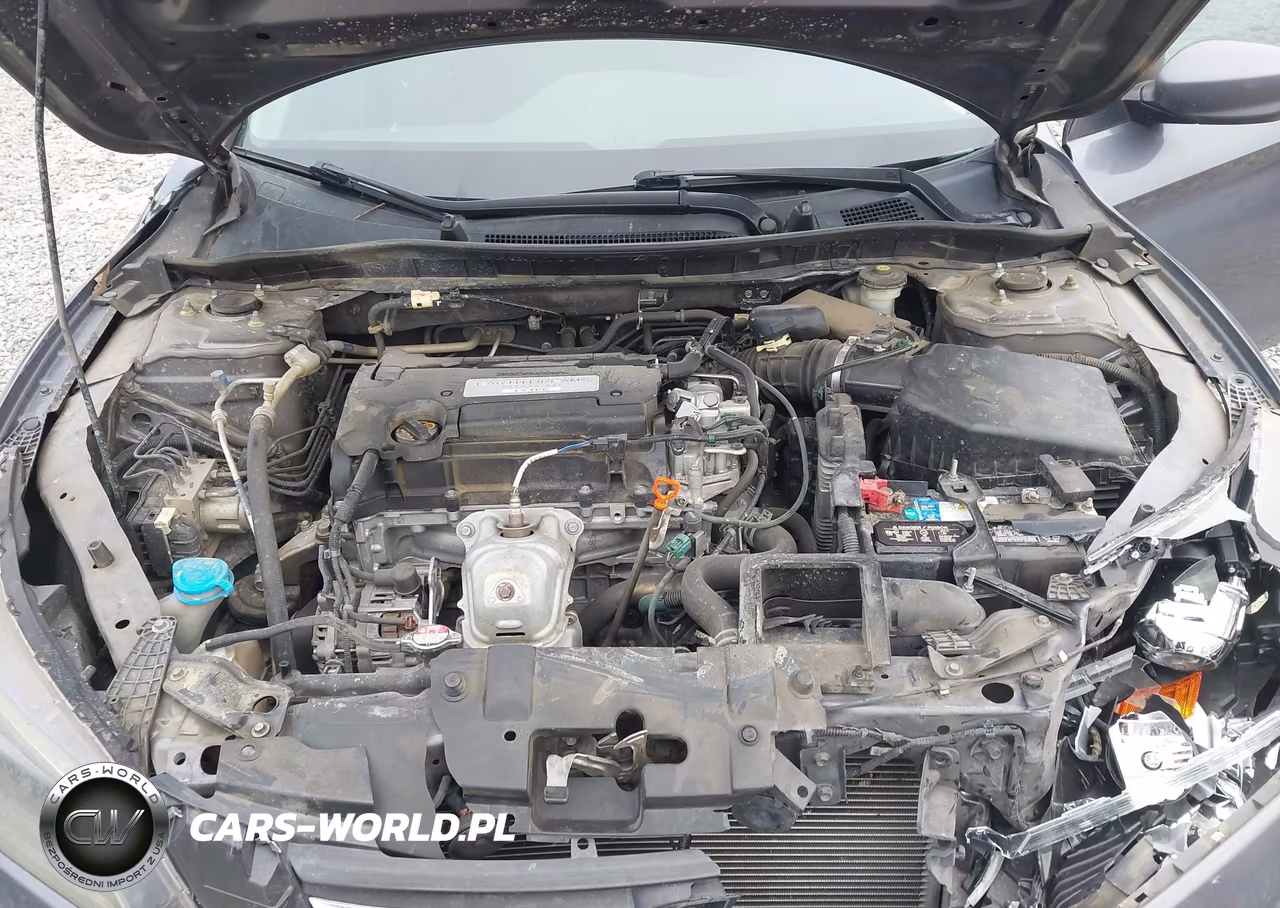 2014 Honda Accord Lx VIN:1HGCR2F39EA132502 - 10