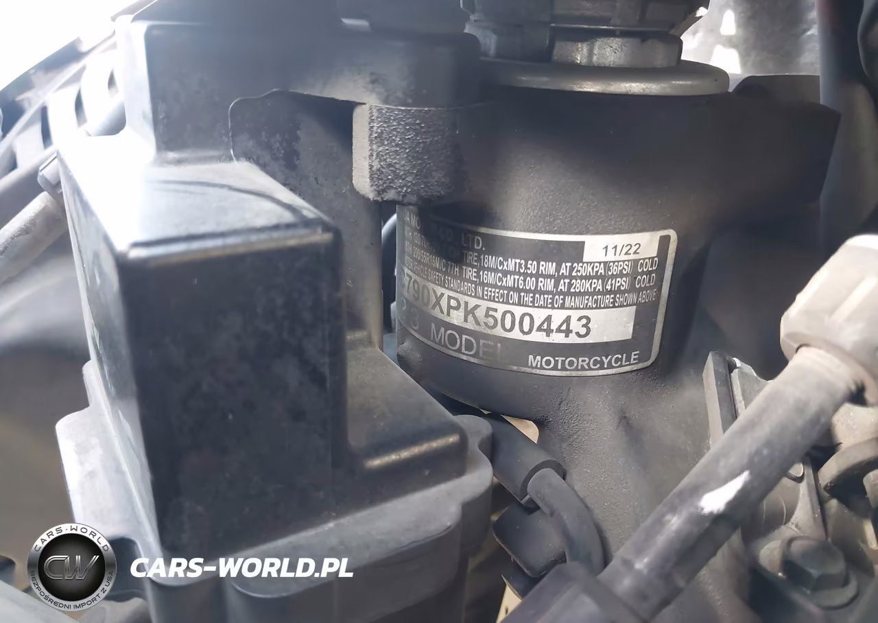 2023 Honda Gl1800 VIN:JH2SC790XPK500443 - 10
