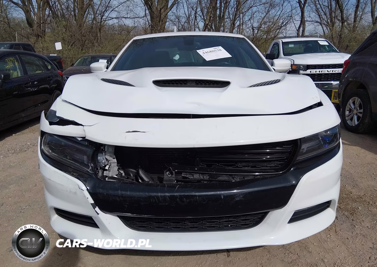 2016 Dodge Charger Sxt VIN:2C3CDXJG5GH341202 - 12