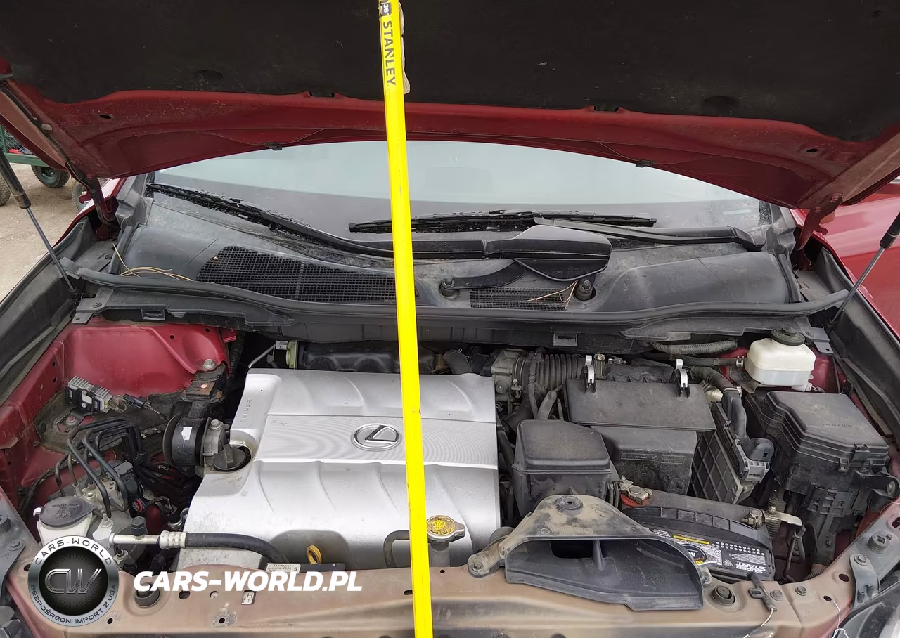 2010 Lexus Rx 350 VIN:2T2BK1BA6AC057305 - 10