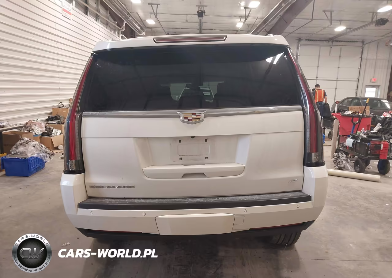 2015 Cadillac Escalade Platinum VIN:1GYS4PKJ0FR601760 - 17