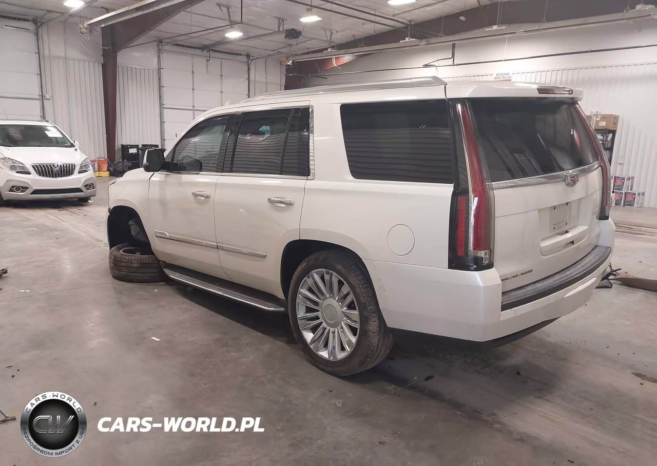 2015 Cadillac Escalade Platinum VIN:1GYS4PKJ0FR601760 - 3
