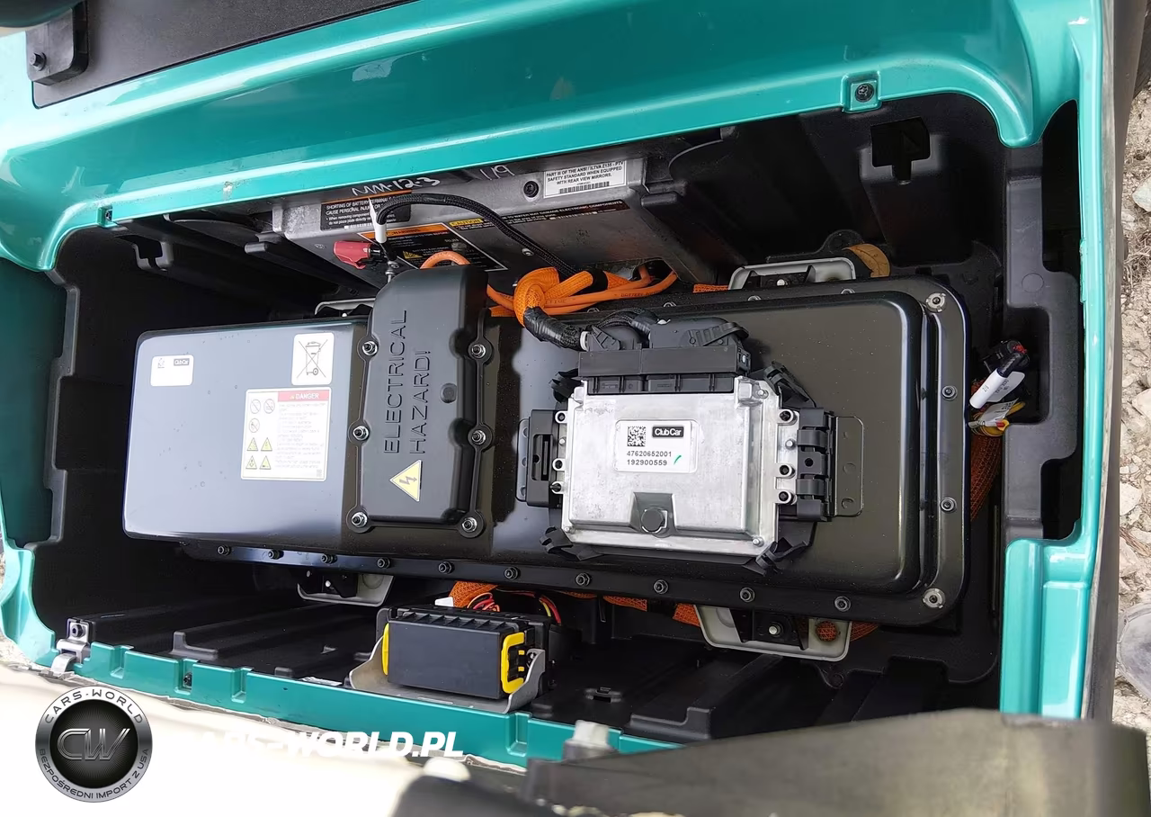 2018 Club Car Electric VIN:DK2029089892 - 10