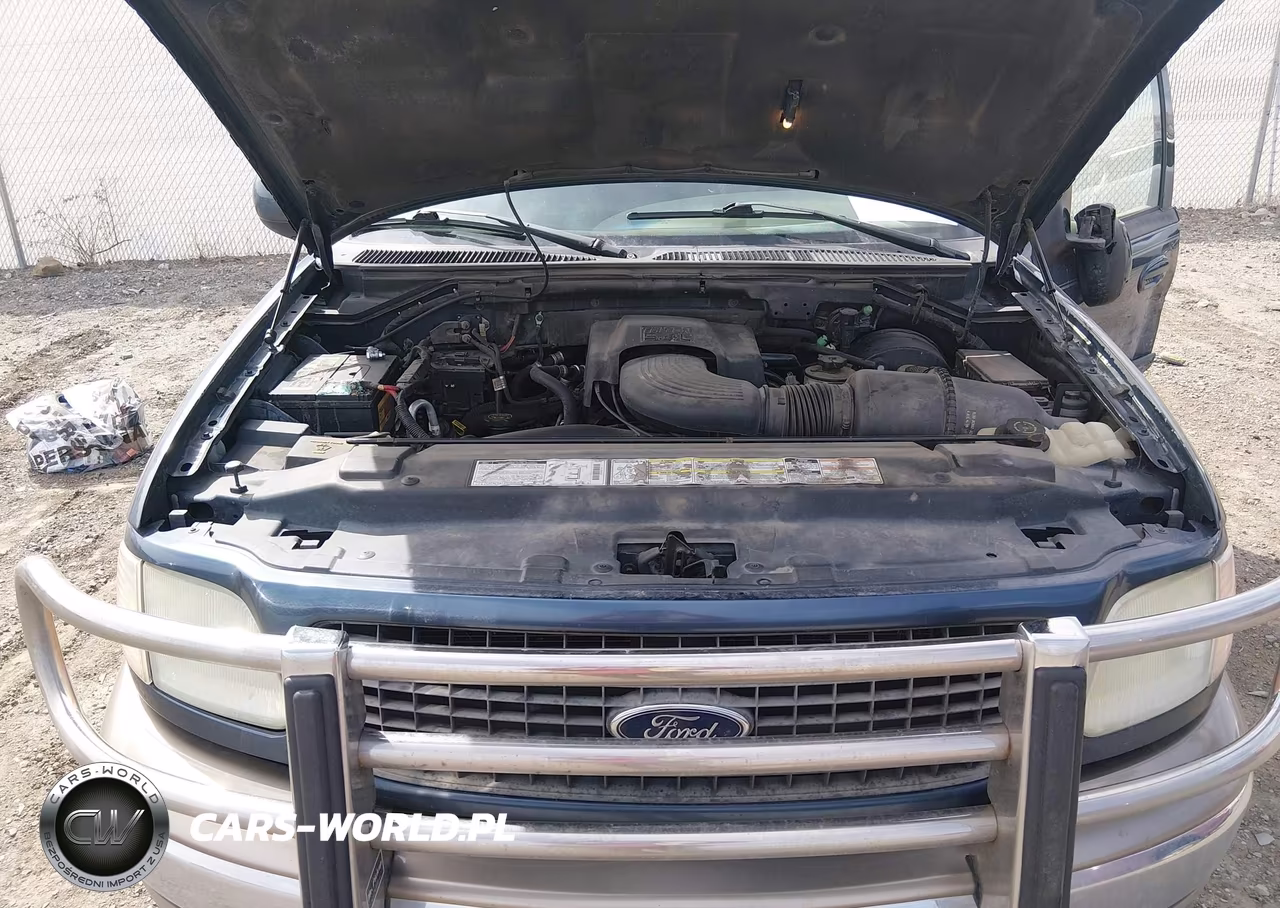 2002 Ford Expedition Eddie Bauer VIN:1FMPU18L82LA58023 - 10