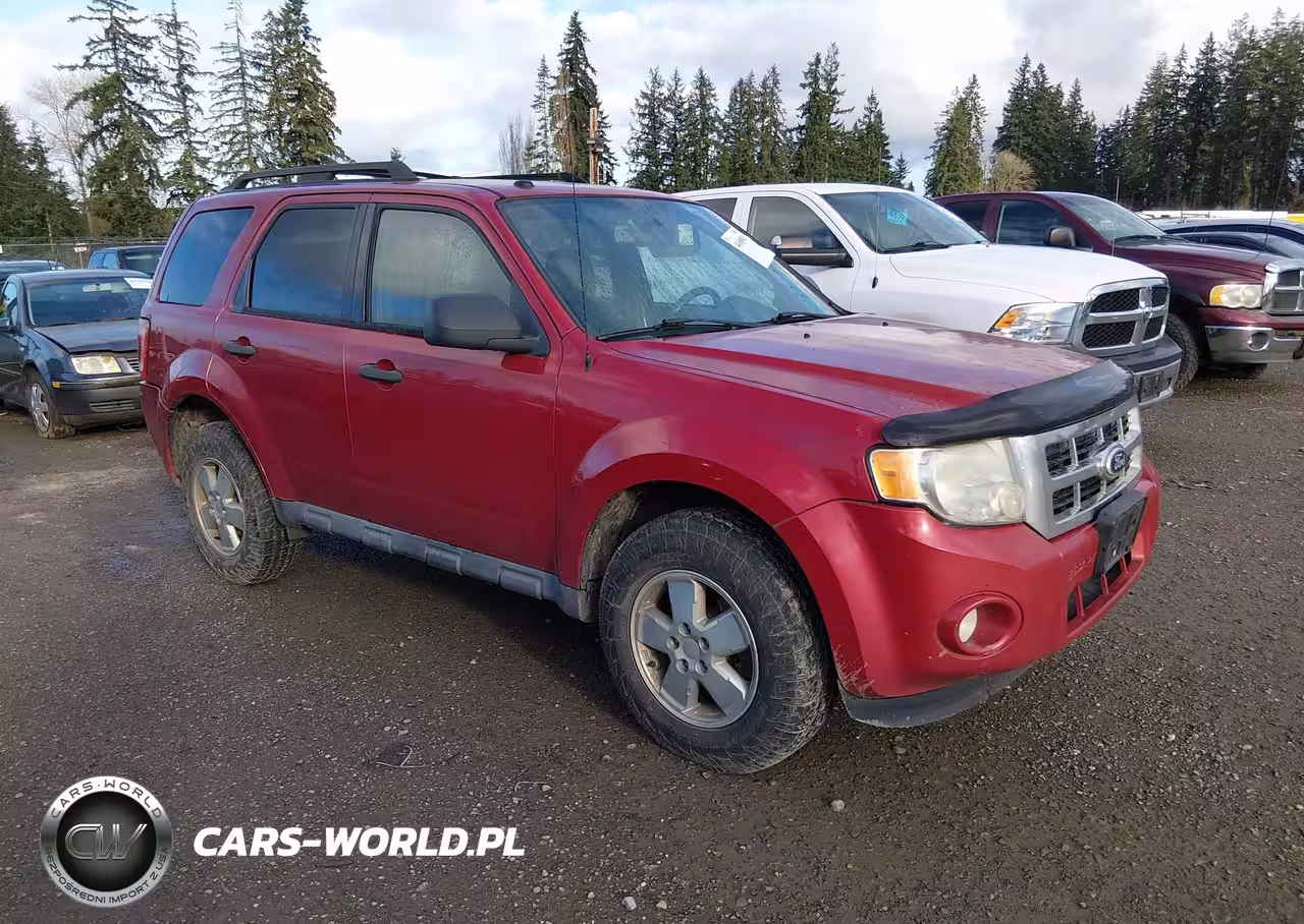 2010 Ford Escape Xlt