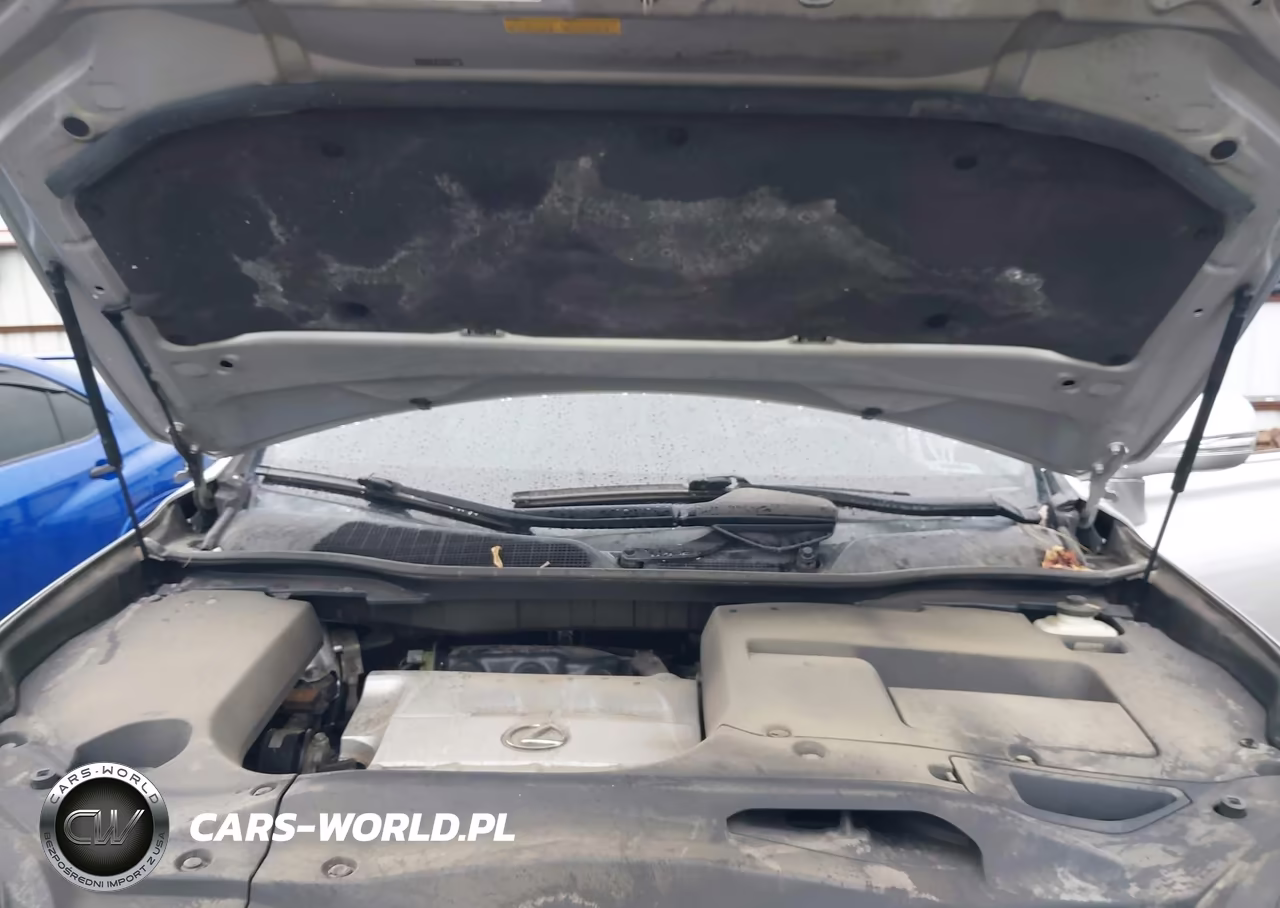 2010 Lexus Rx 350 VIN:2T2ZK1BA0AC008969 - 10