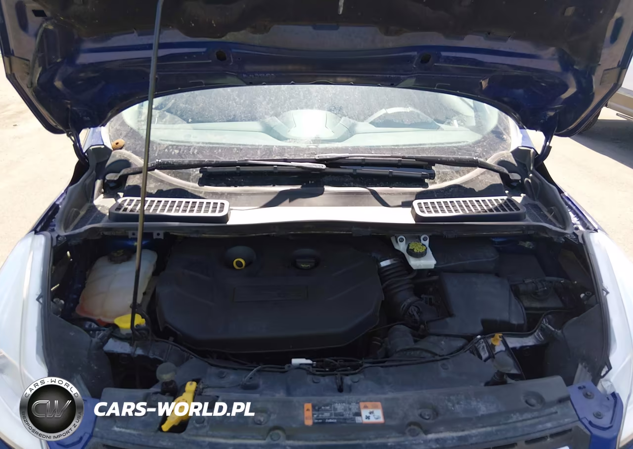 2016 Ford Escape Se VIN:1FMCU9G9XGUB07887 - 10